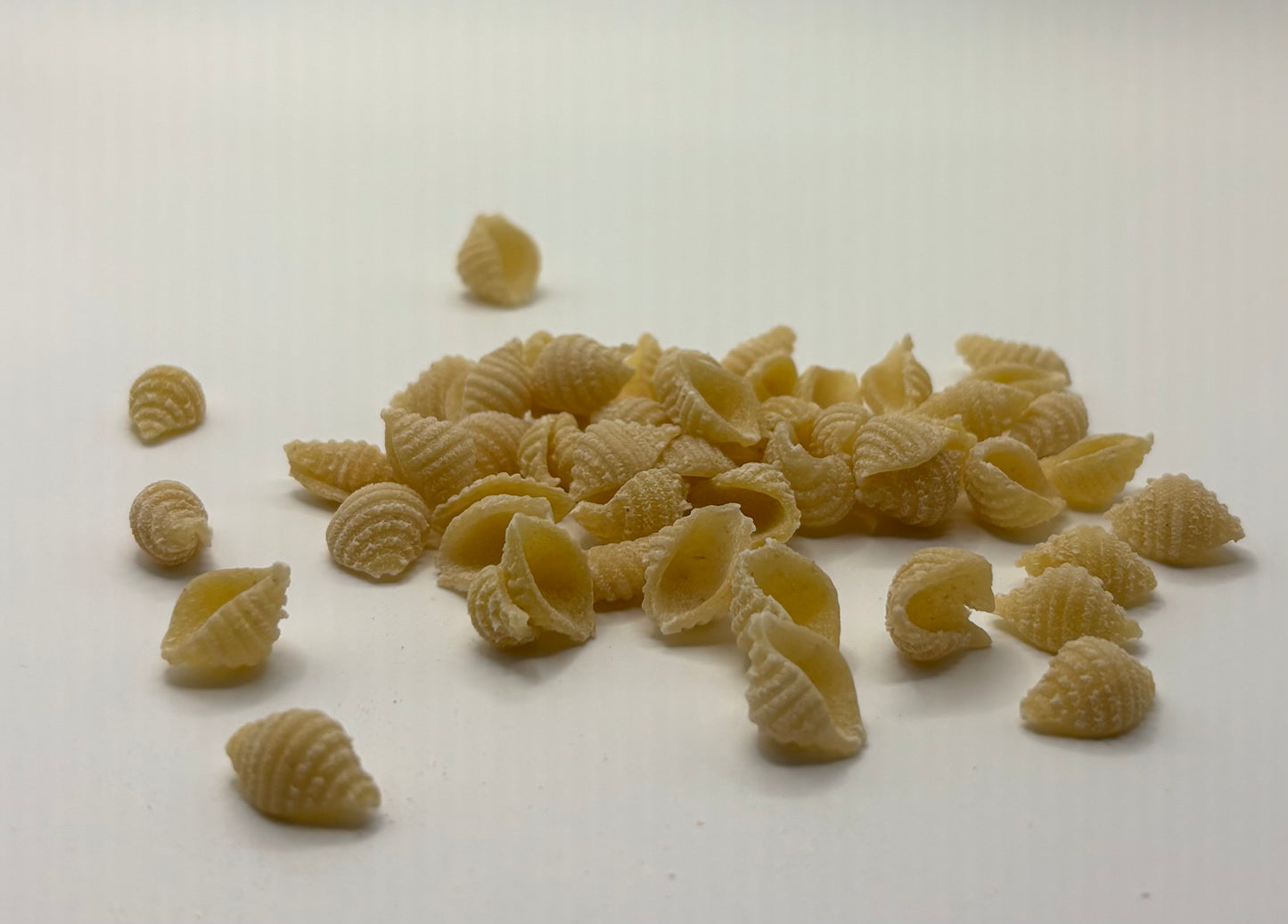 Mini Shells