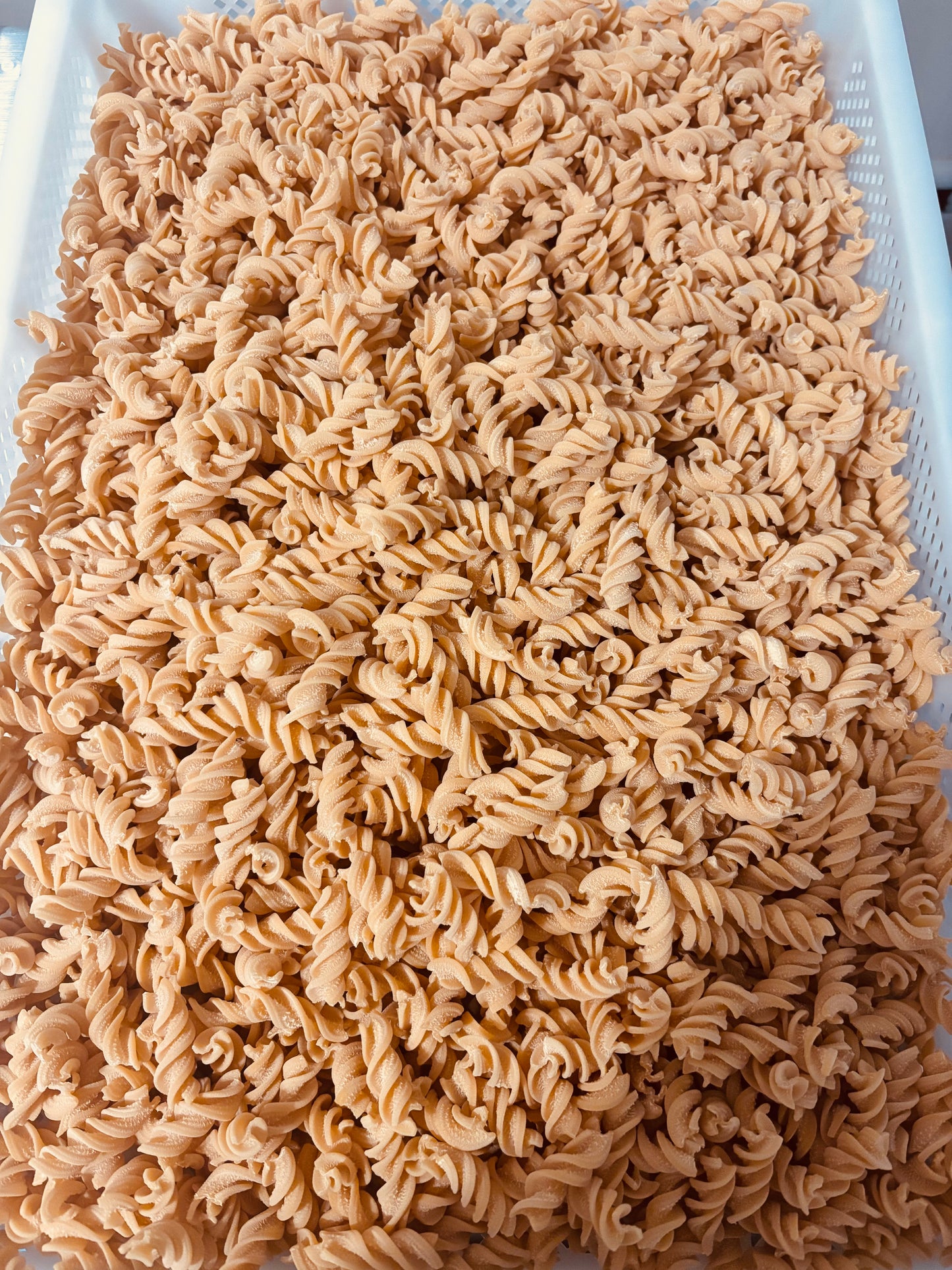 Tri-Colored Pasta