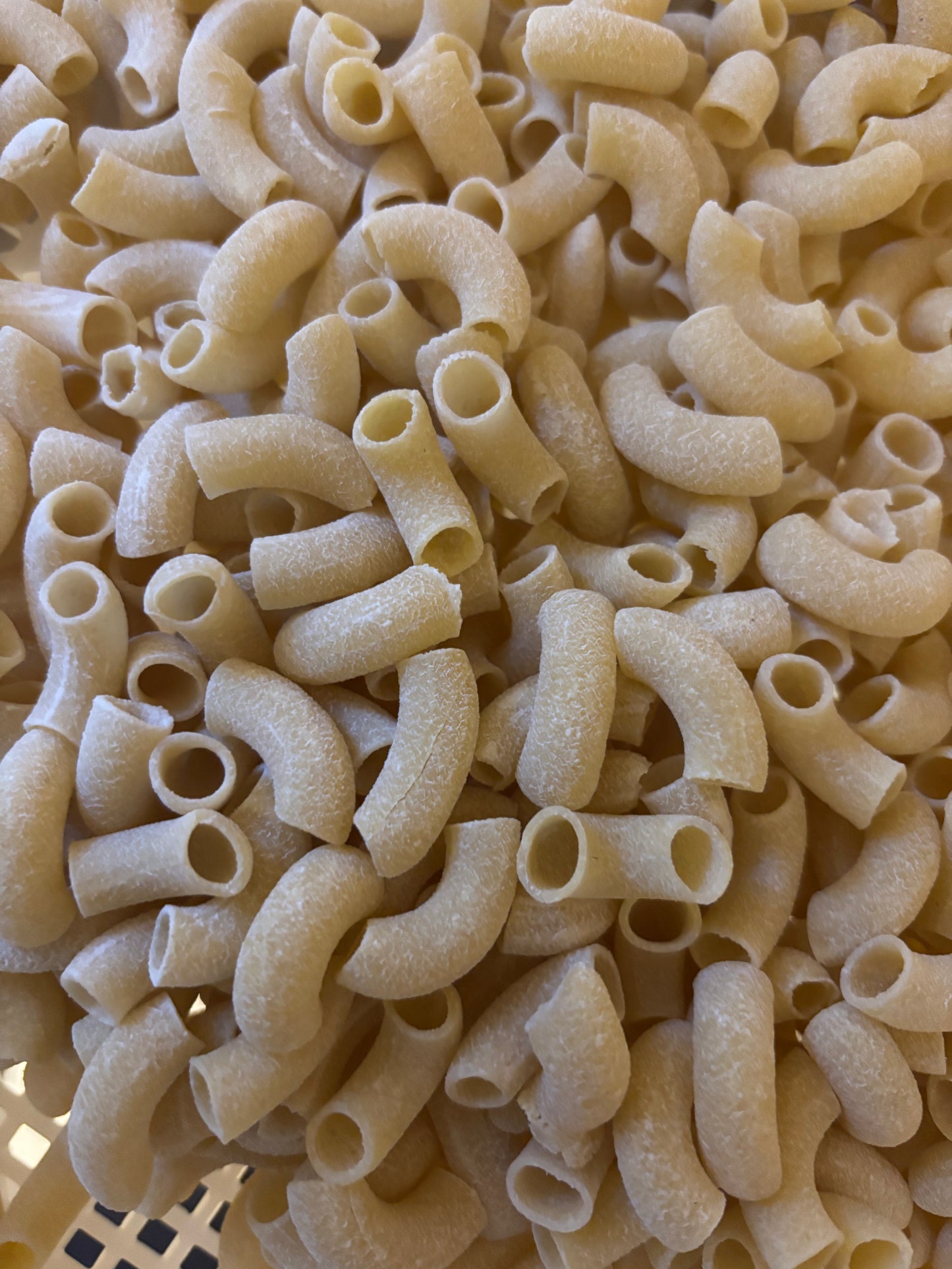 Macaroni